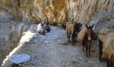 カシミールサファイア鉱山へつながる山岳路