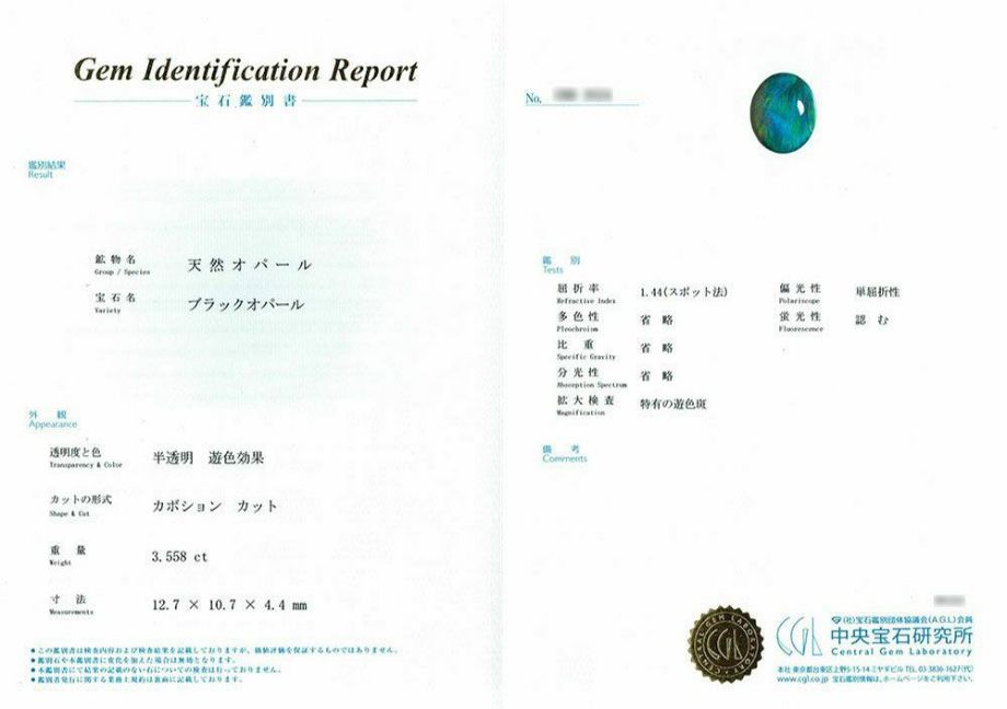 中央宝石研究所宝石鑑別書