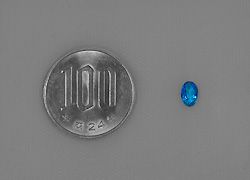 ブラジル産パライバトルマリンオーバルカットルース0.711ct(中央宝石研究所宝石鑑別書付)