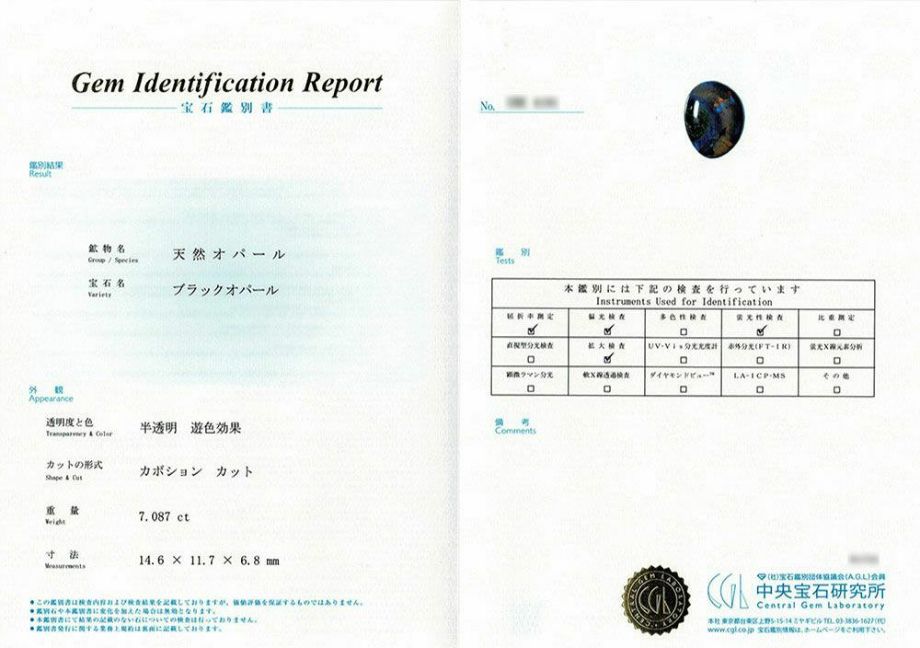 中央宝石研究所宝石鑑別書